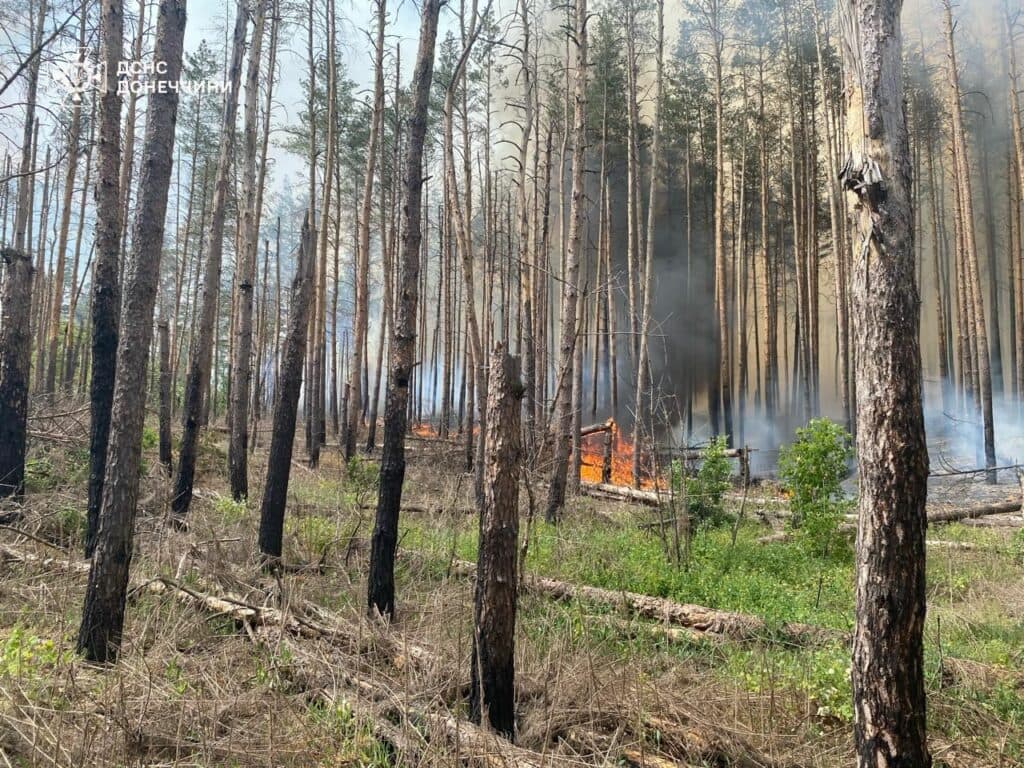 пожежа святі гори 2
