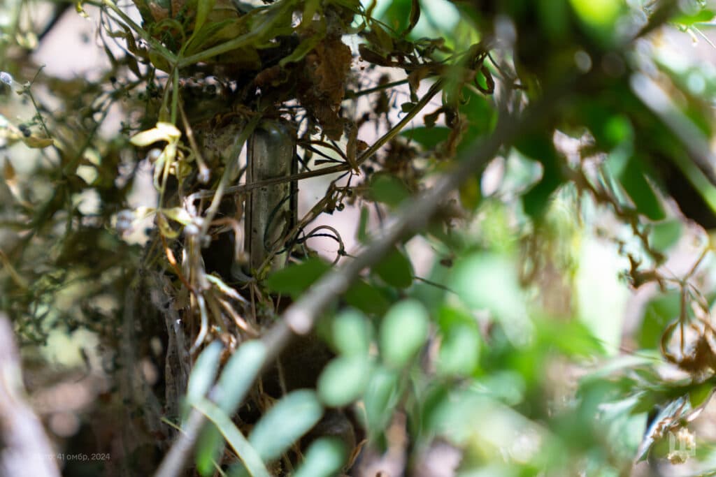 41 окрема механізована бригада 2