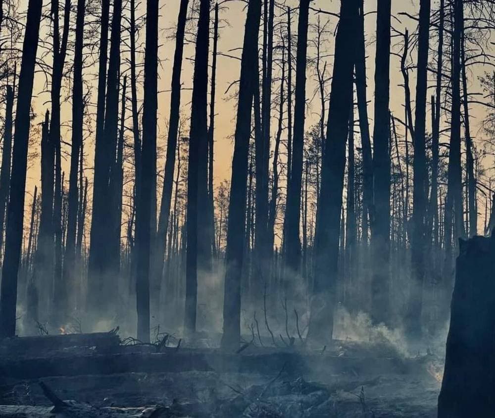 Загарбники завдають прицільних ударів по прифронтових населених пунктах на Луганщині