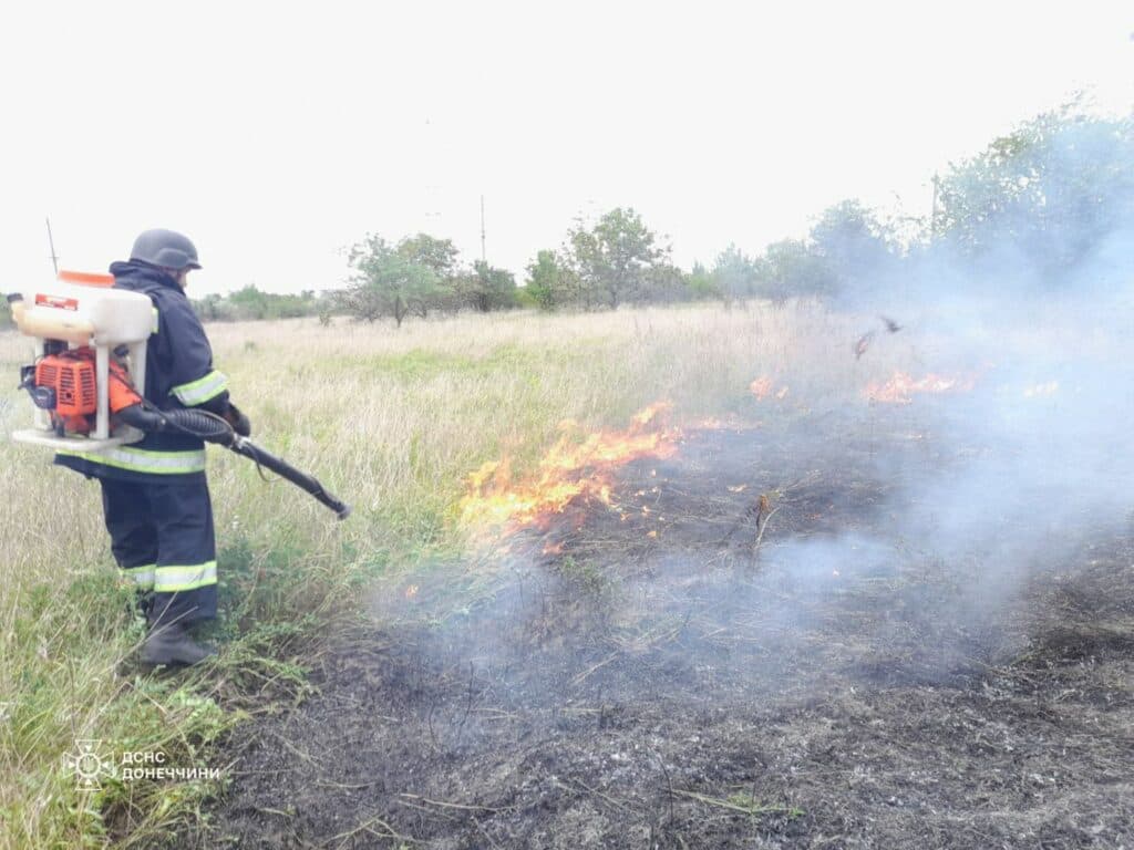 пожежа донеччиниа 4