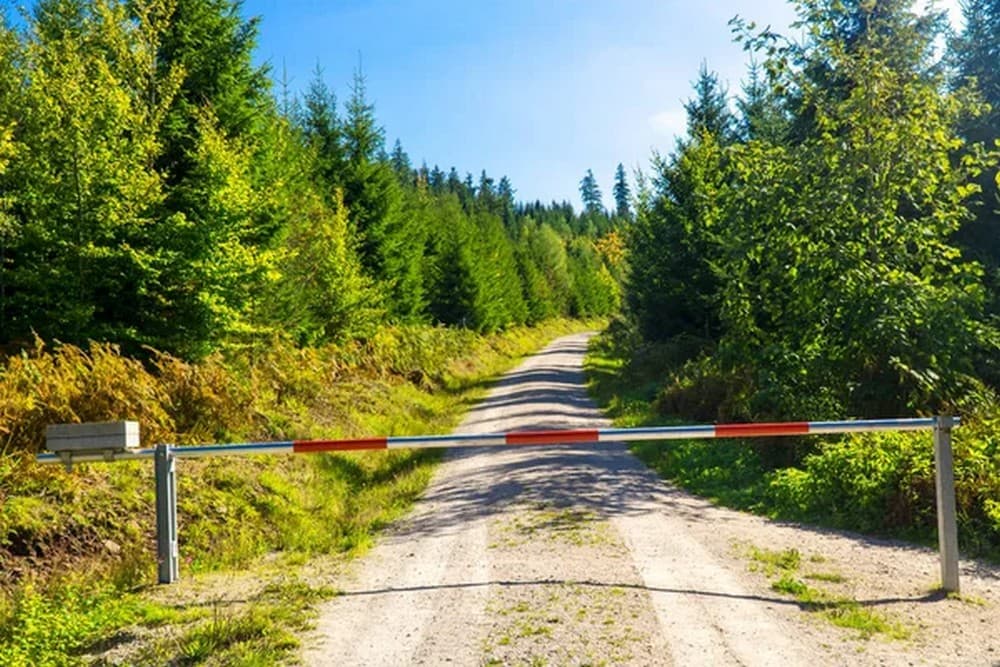 Окупанти подовжили обмеження на перебування у лісах і ввели "штрафи"