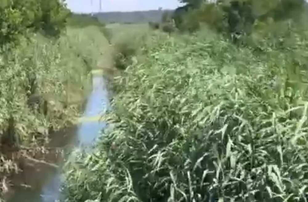 Загарбники перетворили річку Кальчик в окупованому Маріуполі у болото (відео)