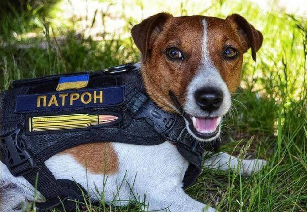 У Києві Червоний Хрест, ДСНС та поліція проведуть навчальний захід з мінної безпеки для дітей з Маріуполя