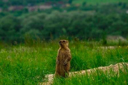 Марківка на Луганщині