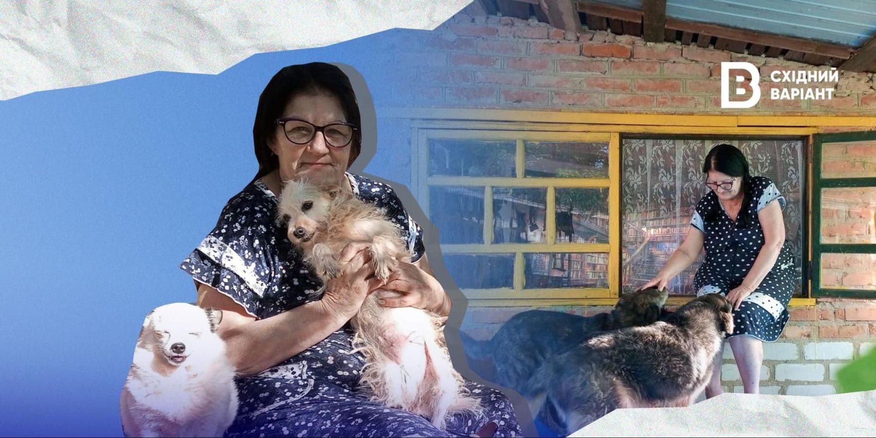 Притулок для тварин з Авдіївки Тимошенко