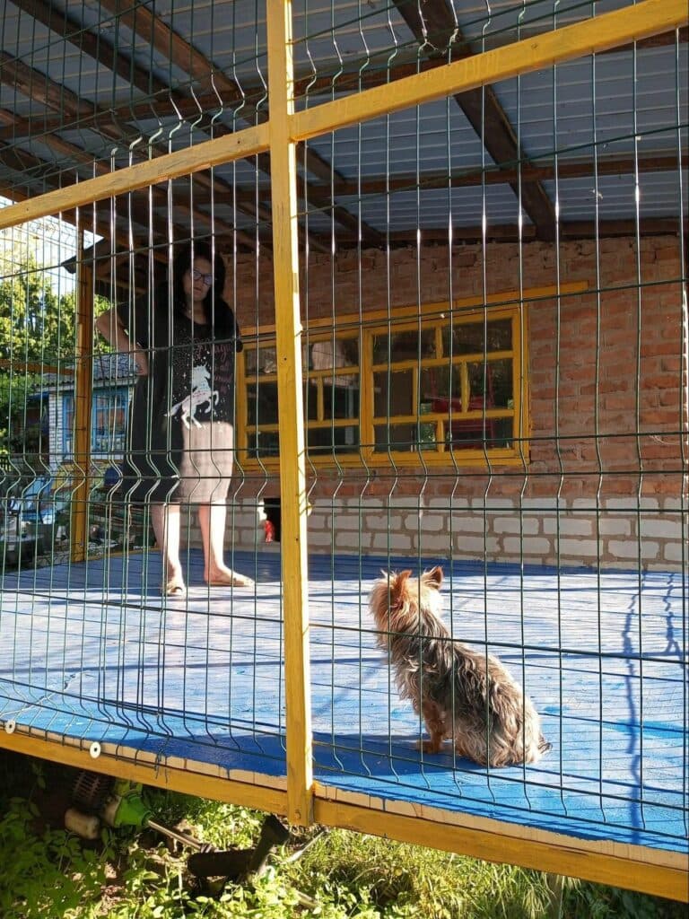 Притулок для тварин з Авдіївки Тимошенко