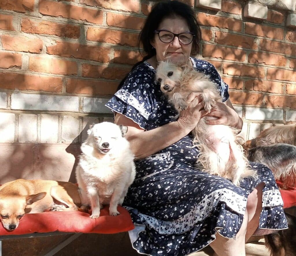 Притулок для тварин з Авдіївки Тимошенко