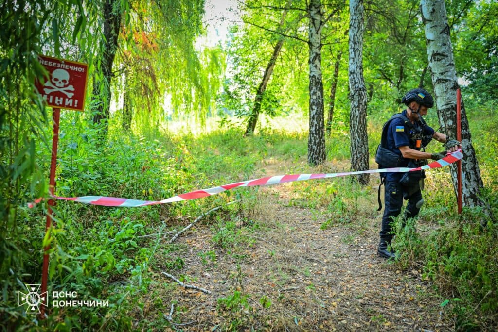 У Святогірську піротехніки ДСНС виявили та знищили 3 міни