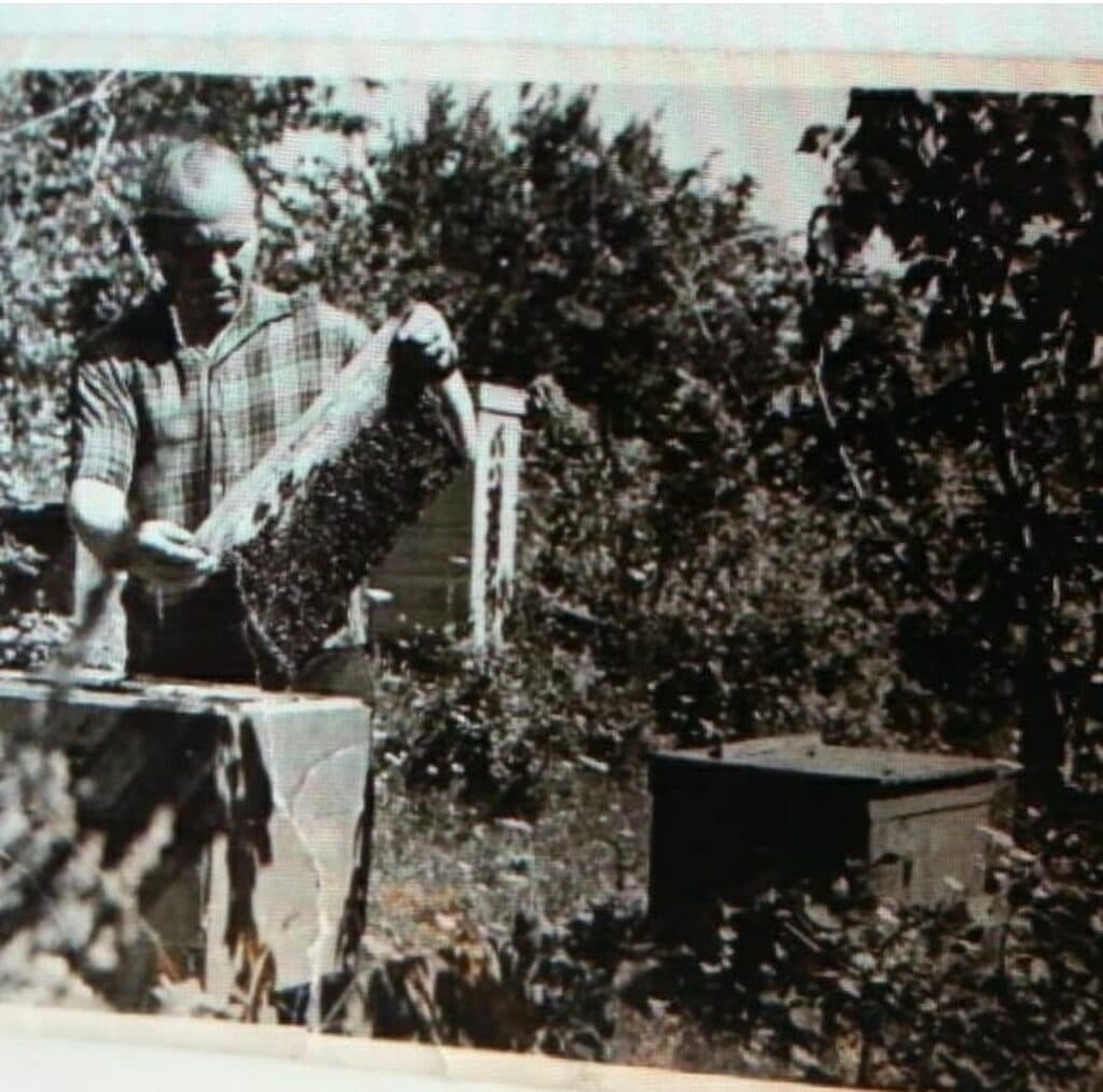 бджолярі з Луганщини