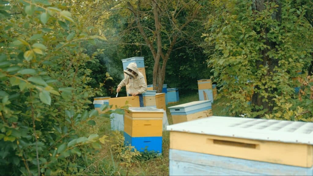 Олексій перевіряє, наскільки заповнені рамки