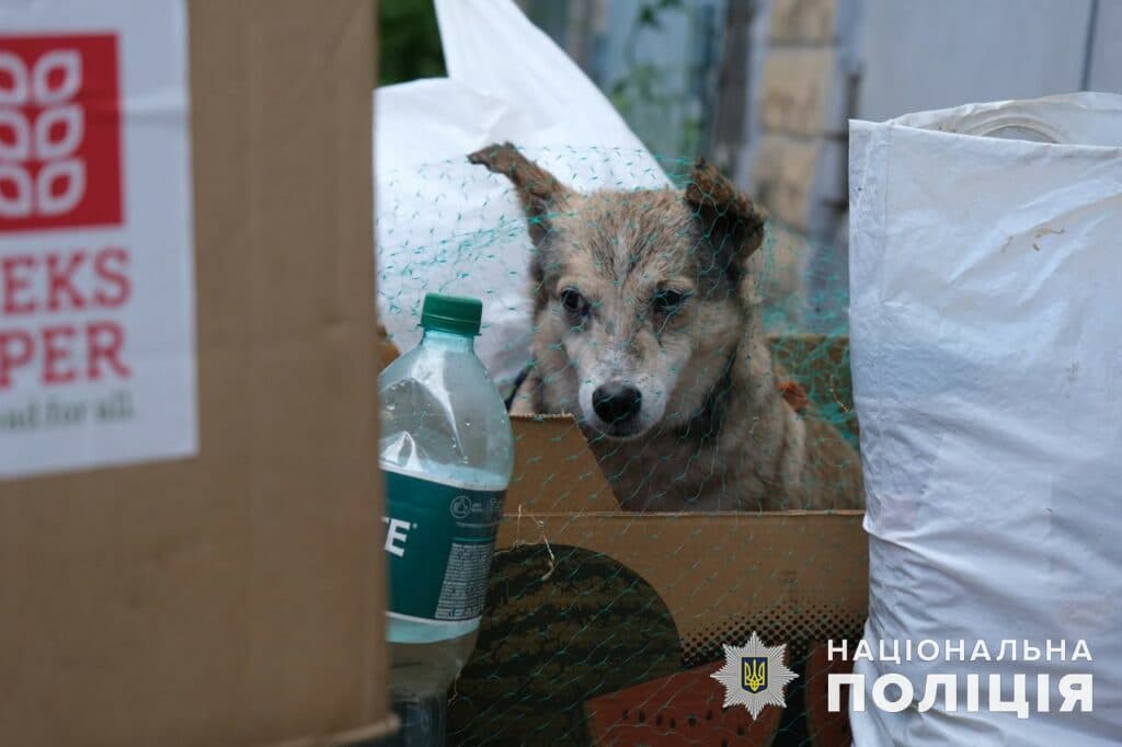 евакуація торецьк 3