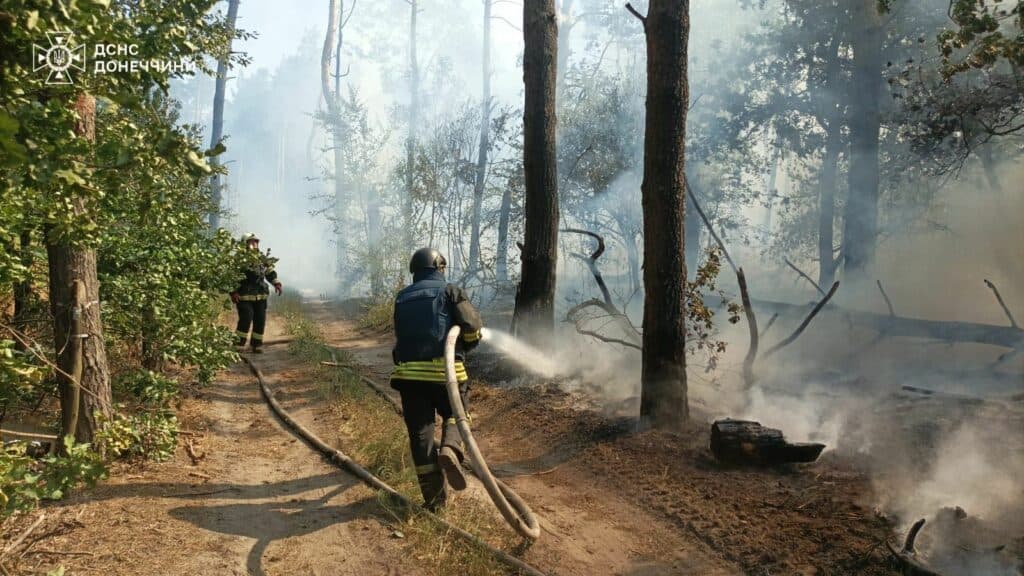пожежа донеччина 1