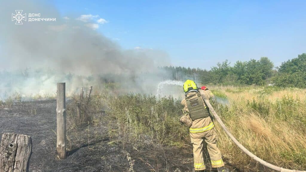 пожежа донеччина 6