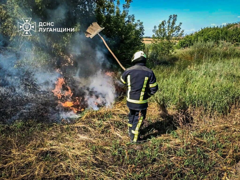 пожежа дснс луганщини 2