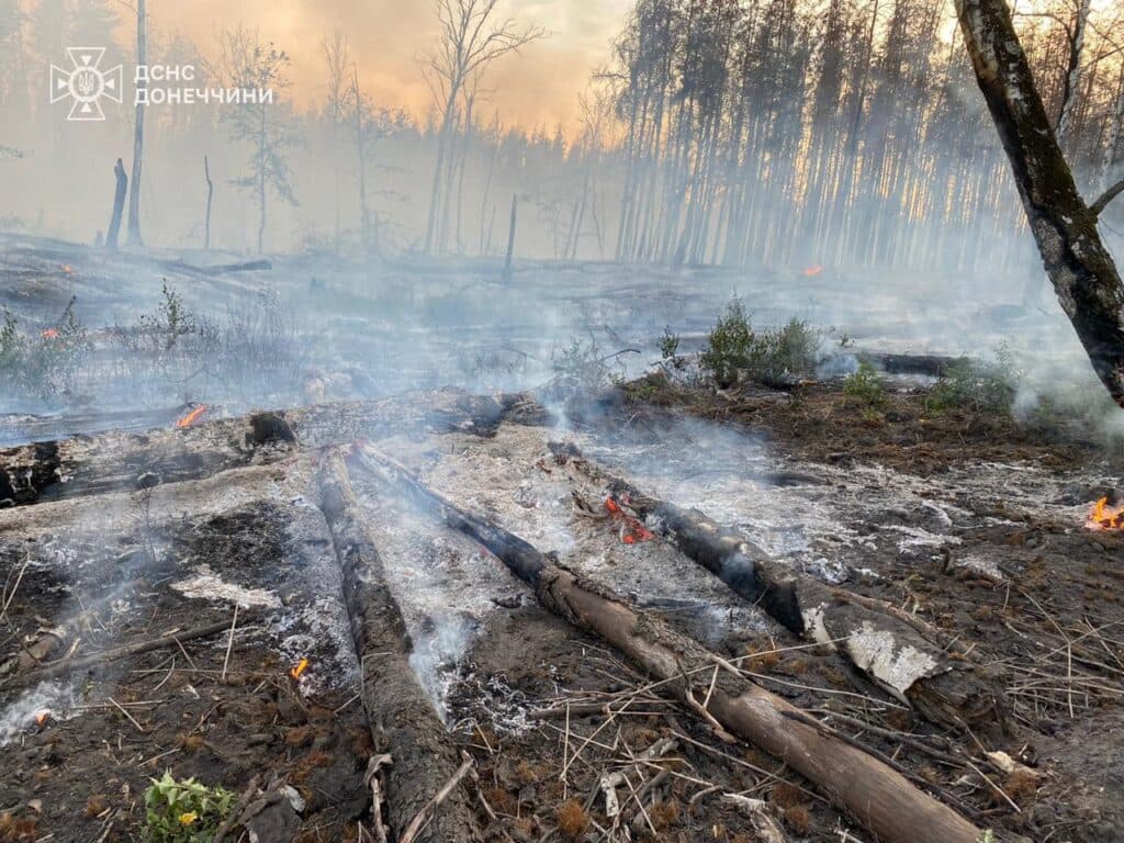 пожежі донеччина 5