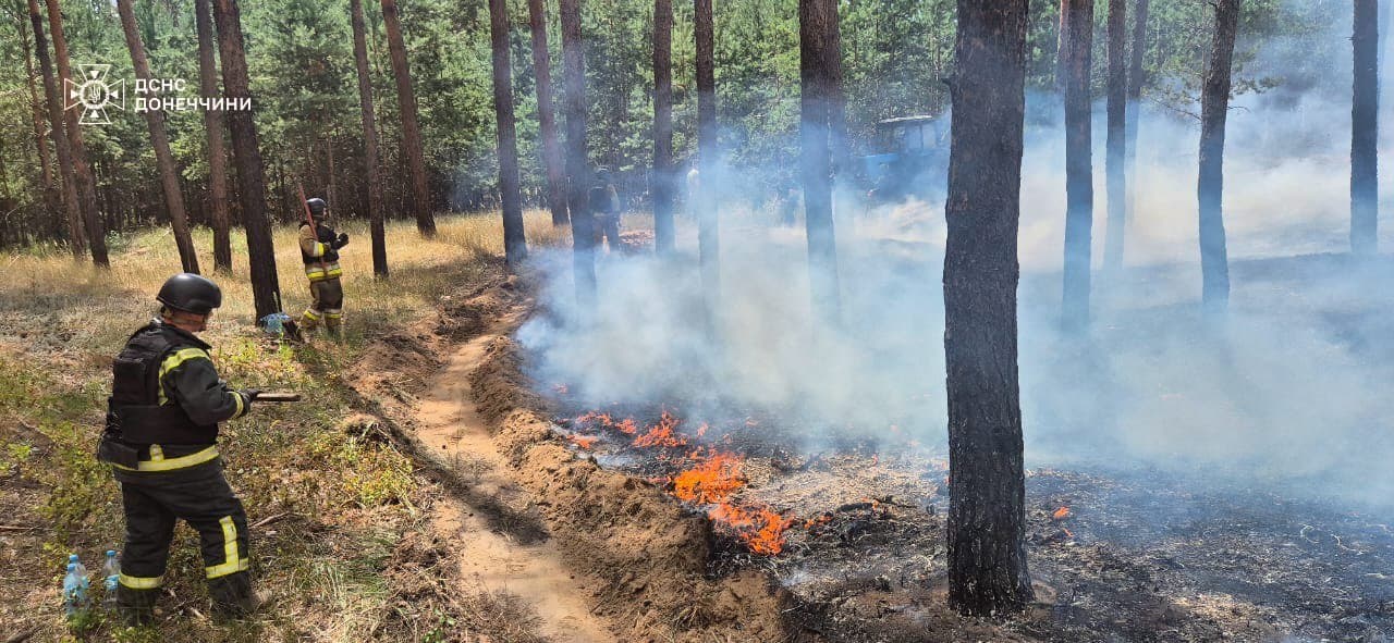 пожежі на донеччині 2