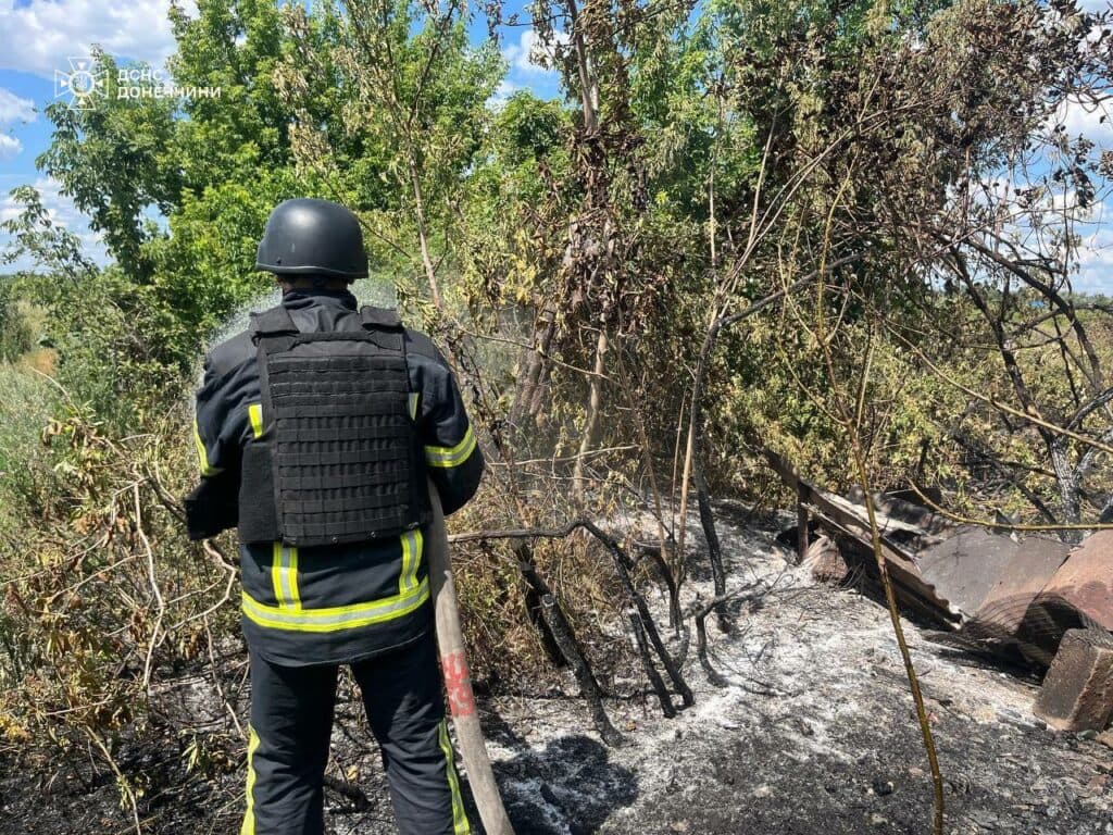 пожежі на донеччині 3