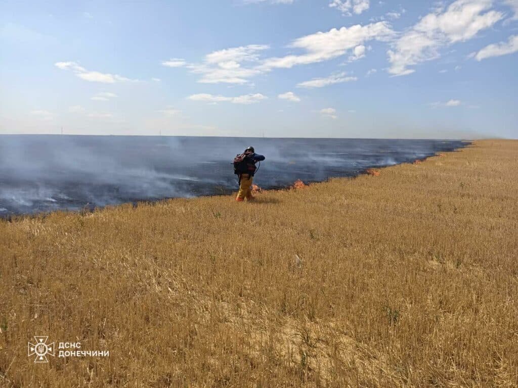 пожежі на донеччині 3