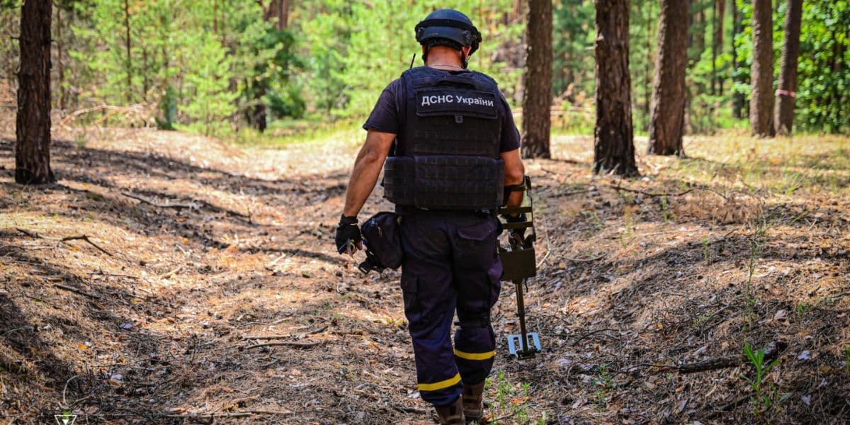 сапери дснс донеччини 2