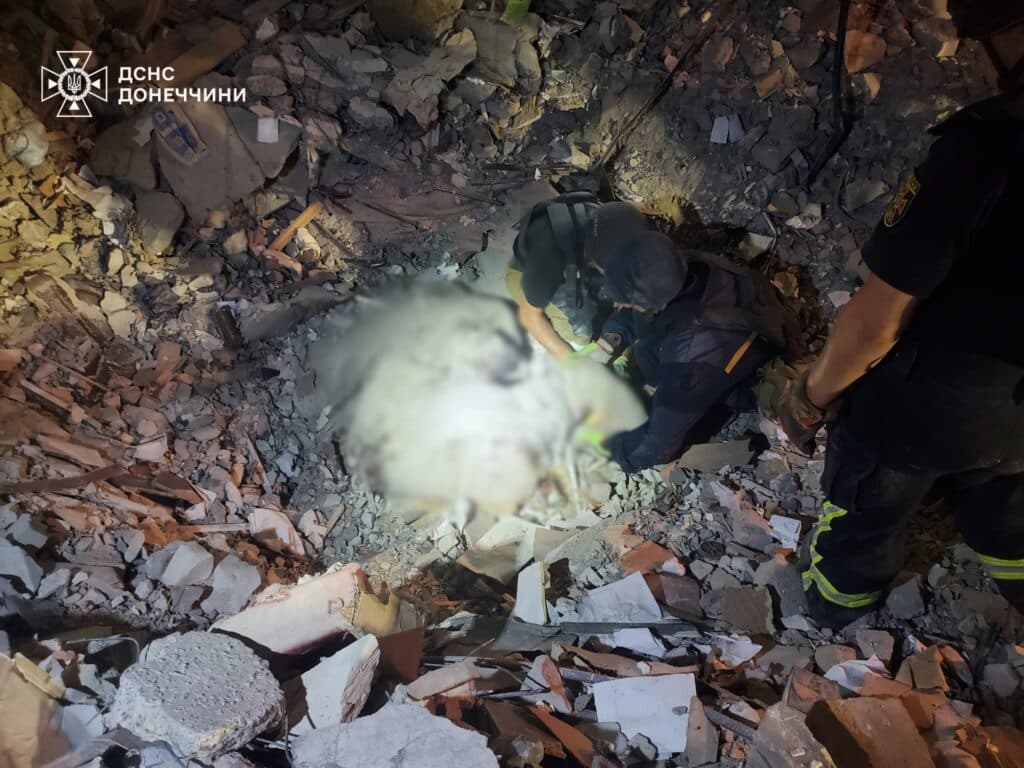 завали в мирнограді 6