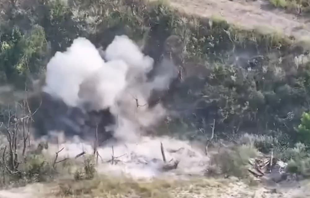 Українські дрони знищили позиції і живу силу противника на Сіверському напрямку (відео)