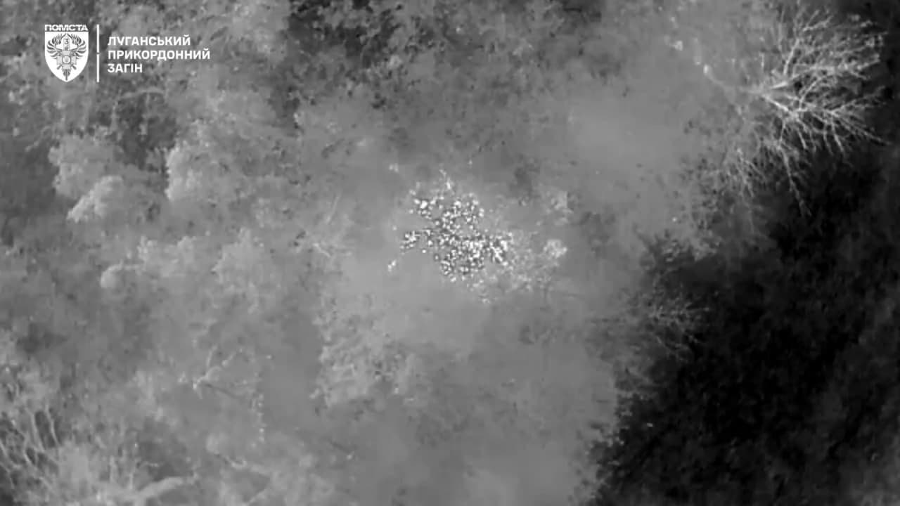 Фото: скриншот з відео 3 прикордонного загону імені Героя України полковника Євгенія Пікуса