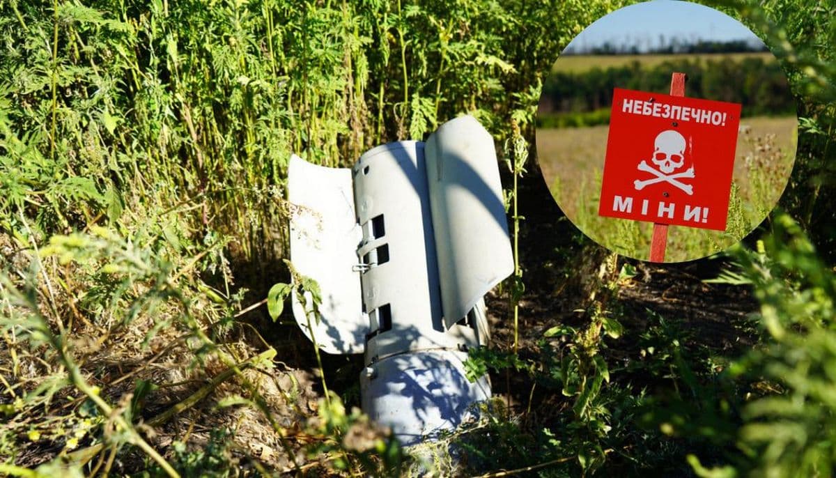На Донеччині піротехніки вилучили та знищили ще 20 одиниць вибухонебезпечних предметів