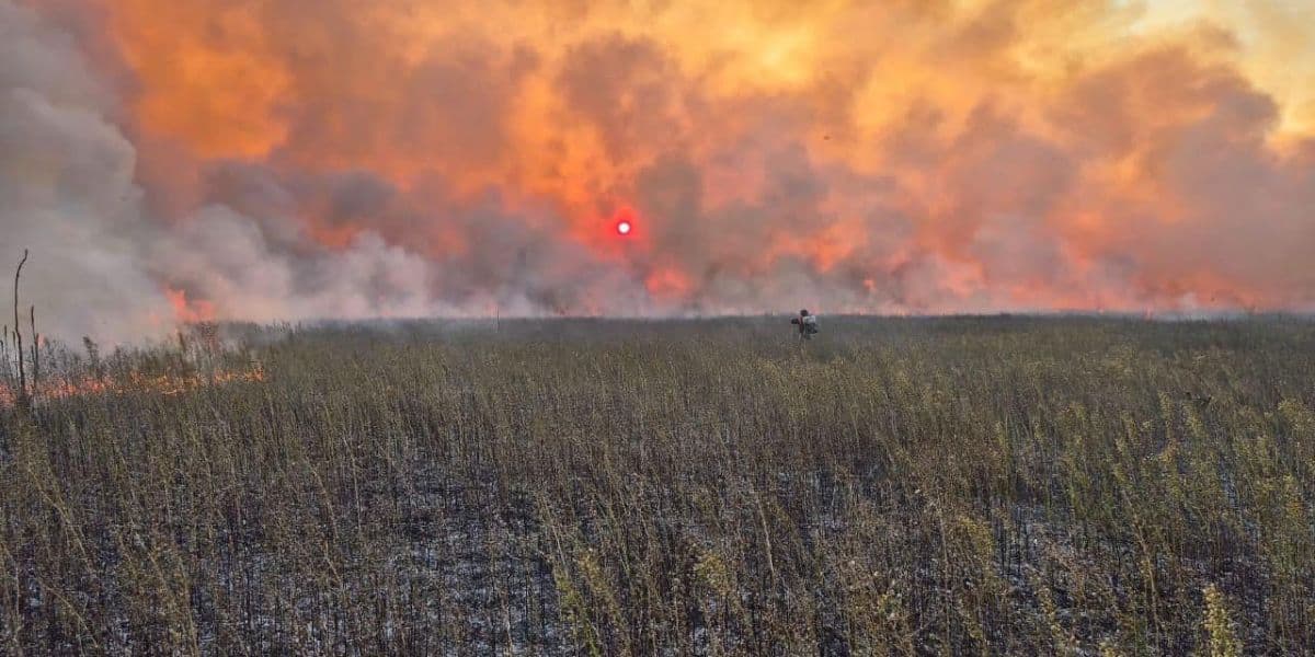 горить сухостій на донеччині 1