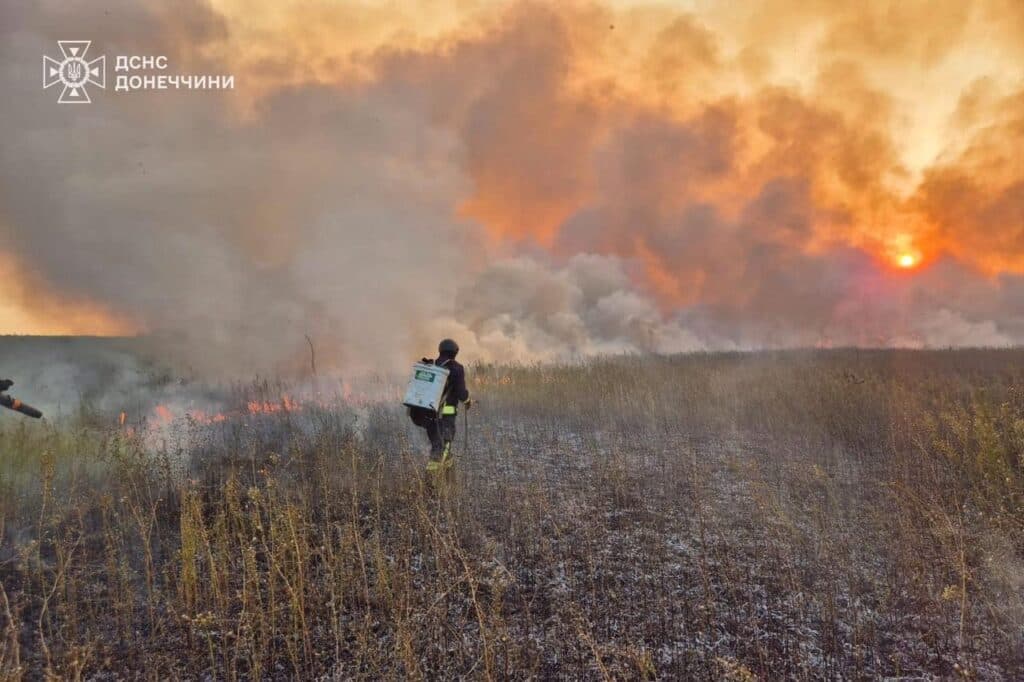 горить сухостій на донеччині 2