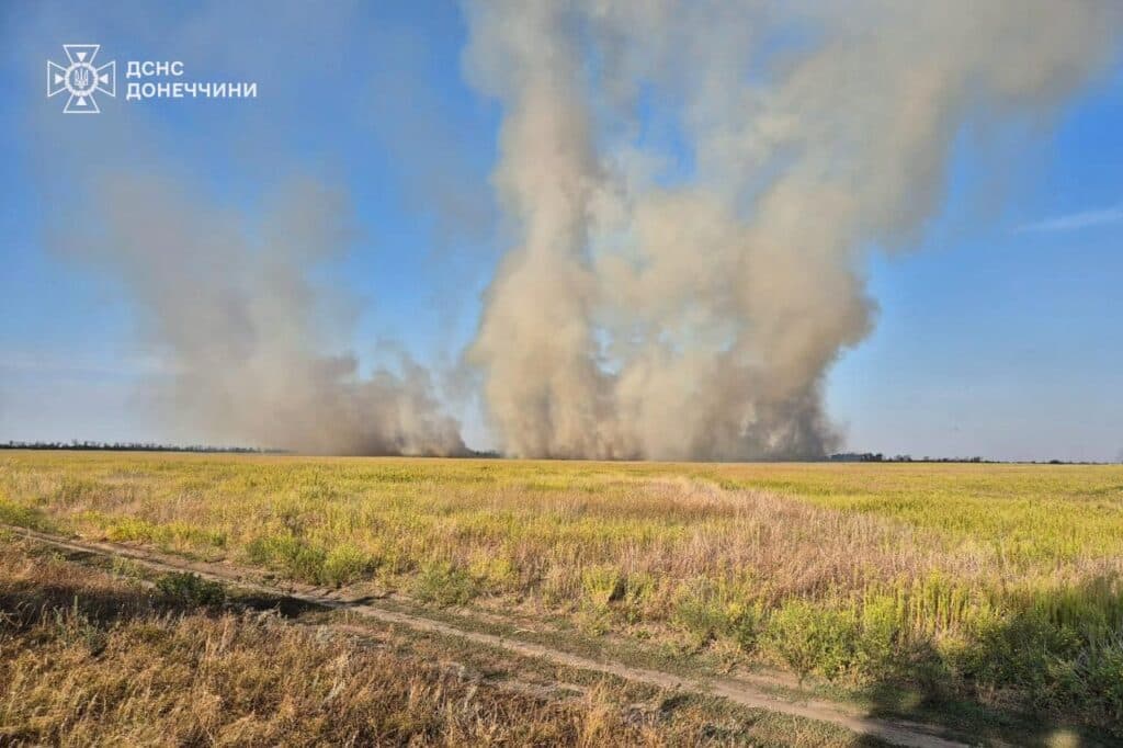 горить сухостій на донеччині 3