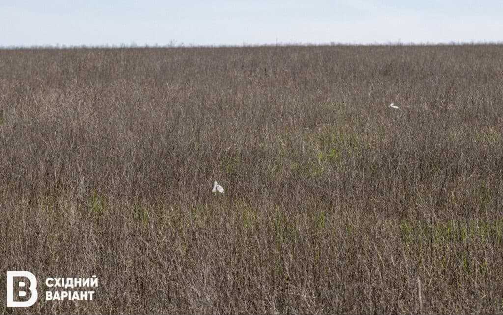 як вберегтися від мін на Донеччині