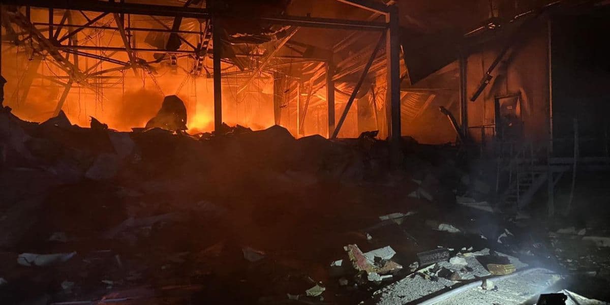 пожежі на донеччині 2