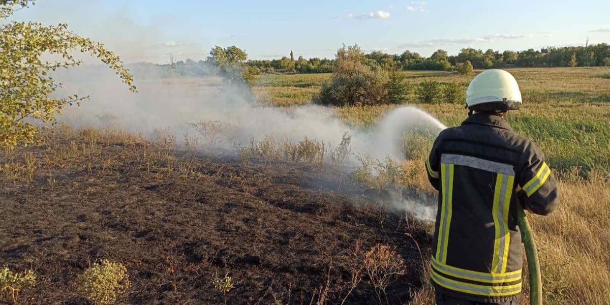 вогнеборець гасить сухостій