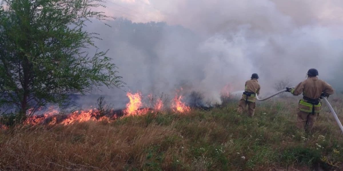 вогнеборці гасять пожежу