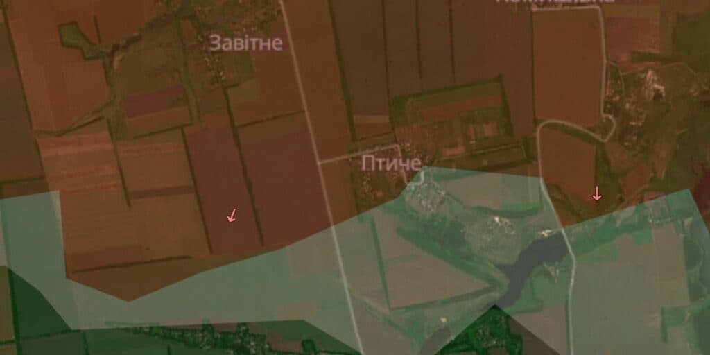 завітне та птиче