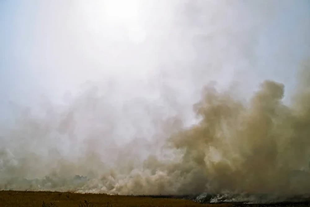 На Донеччину рухається пилова буря