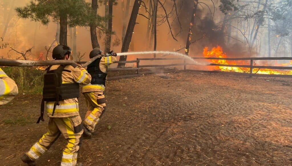 На Донеччині рятувальники другу добу приборкують масштабну лісову пожежу у "Святих Горах" (фото)