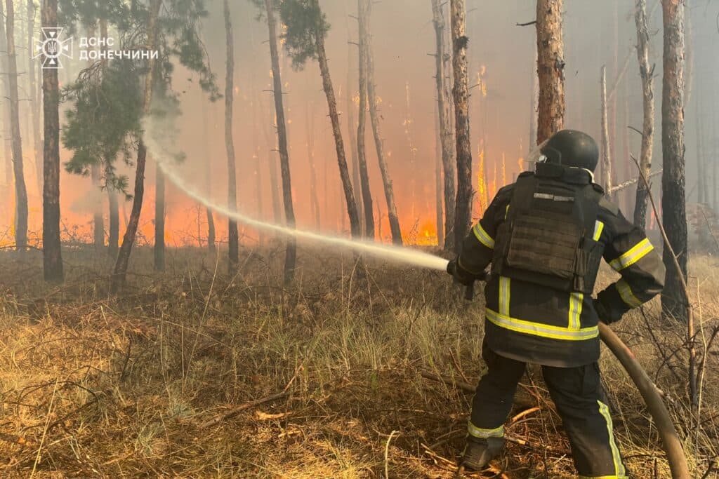 На Донеччині рятувальники другу добу приборкують масштабну лісову пожежу у "Святих Горах" (фото)