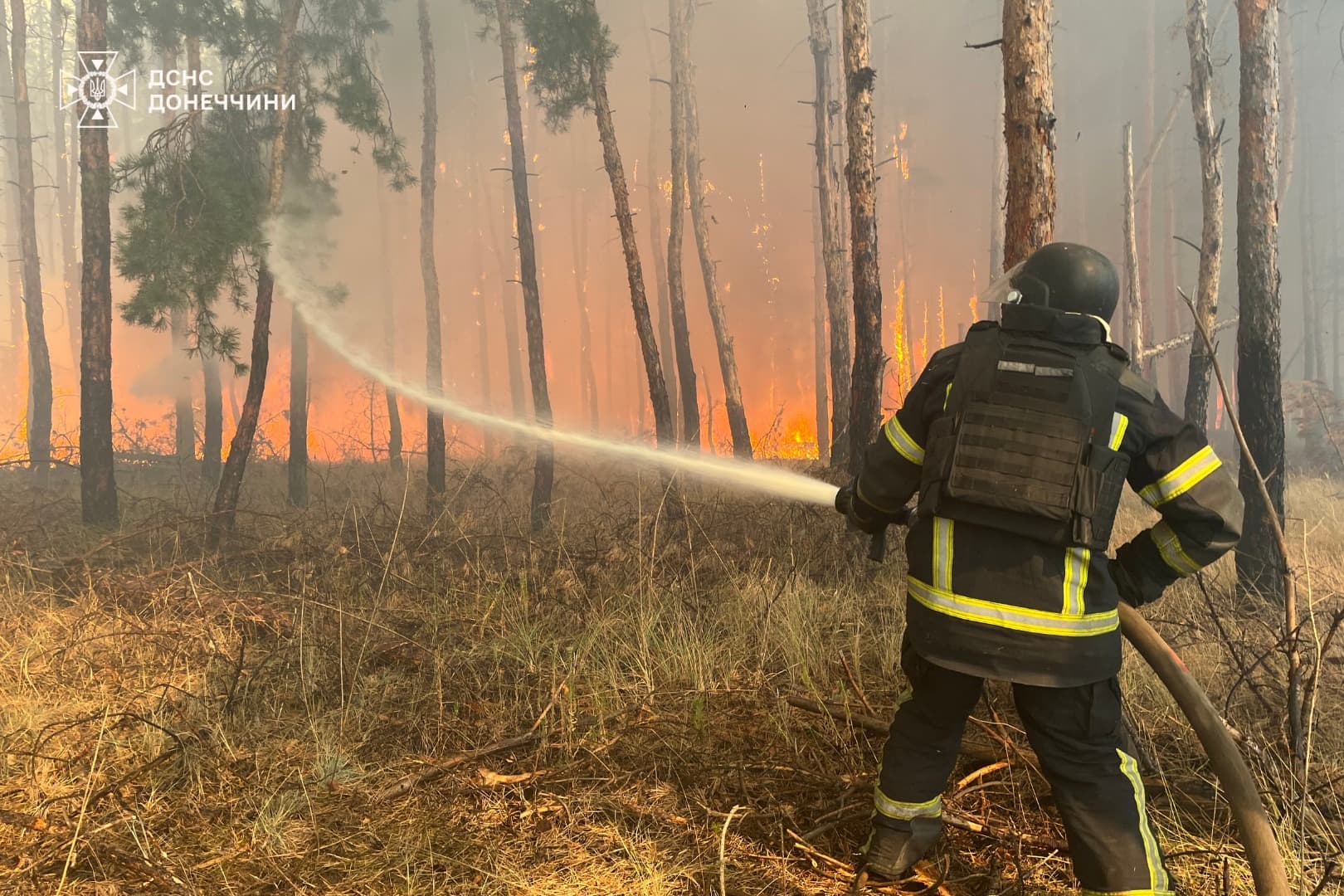 На Донеччині рятувальники другу добу приборкують масштабну лісову пожежу у "Святих Горах" (фото)
