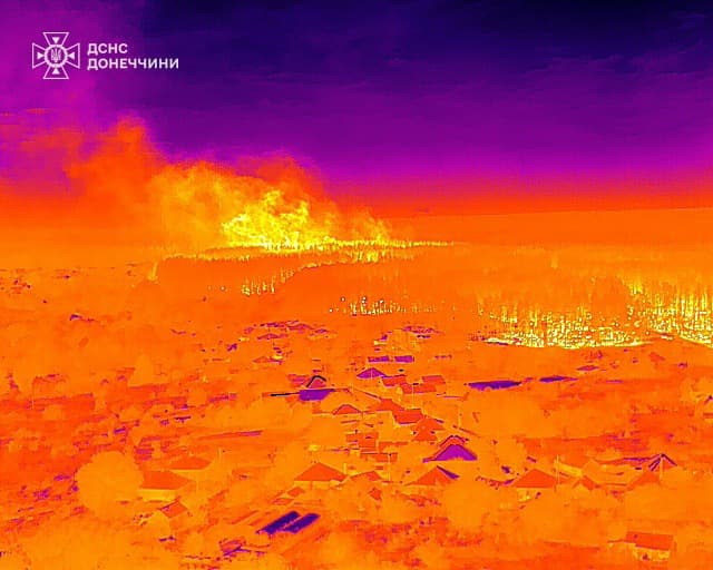 На Донеччині рятувальники другу добу приборкують масштабну лісову пожежу у "Святих Горах" (фото)