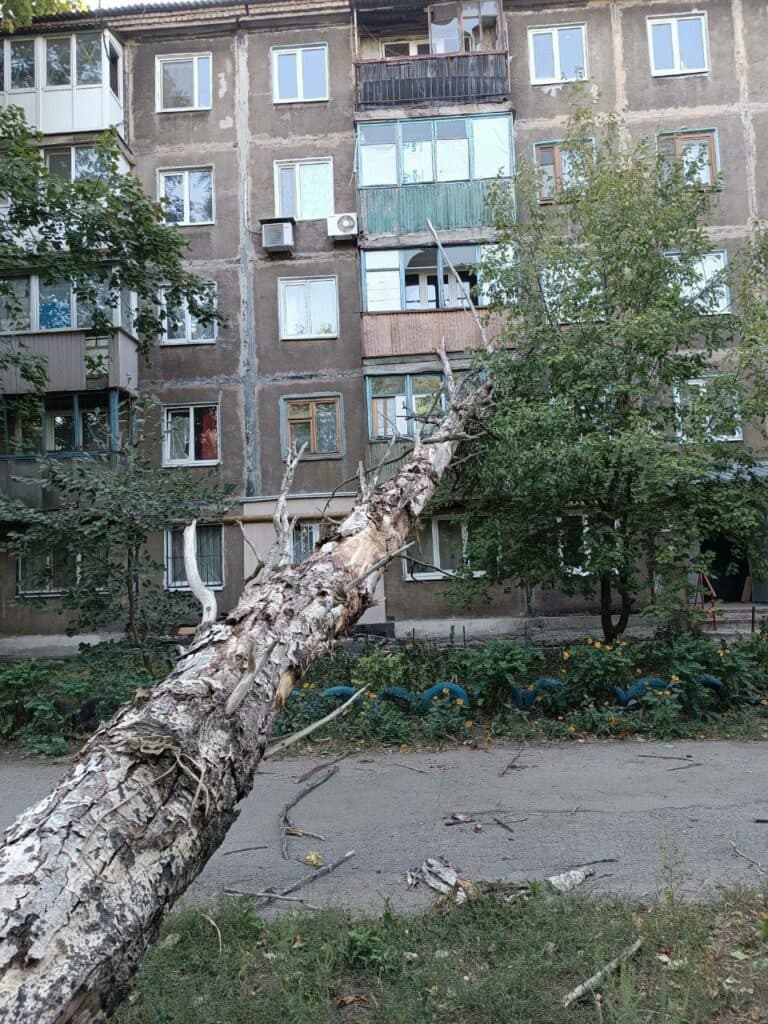 В окупованому Донецьку дерево впало на будинок (фото)