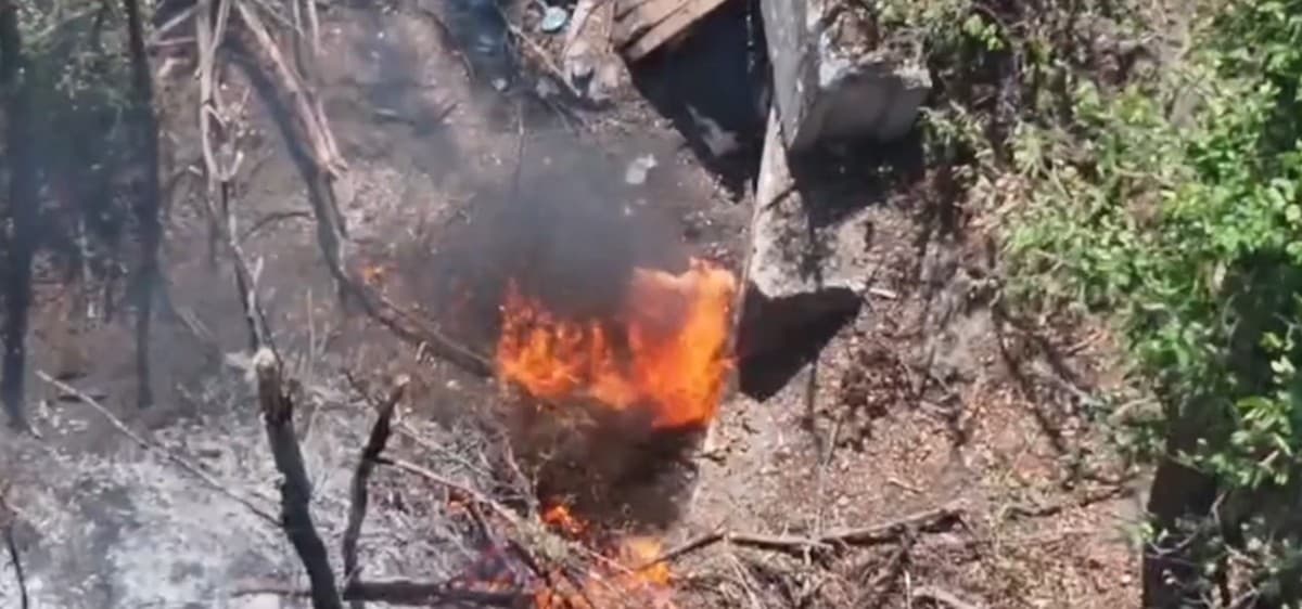 Луганські прикордонники примножили втрати окупантів на Сіверському напрямку (відео)