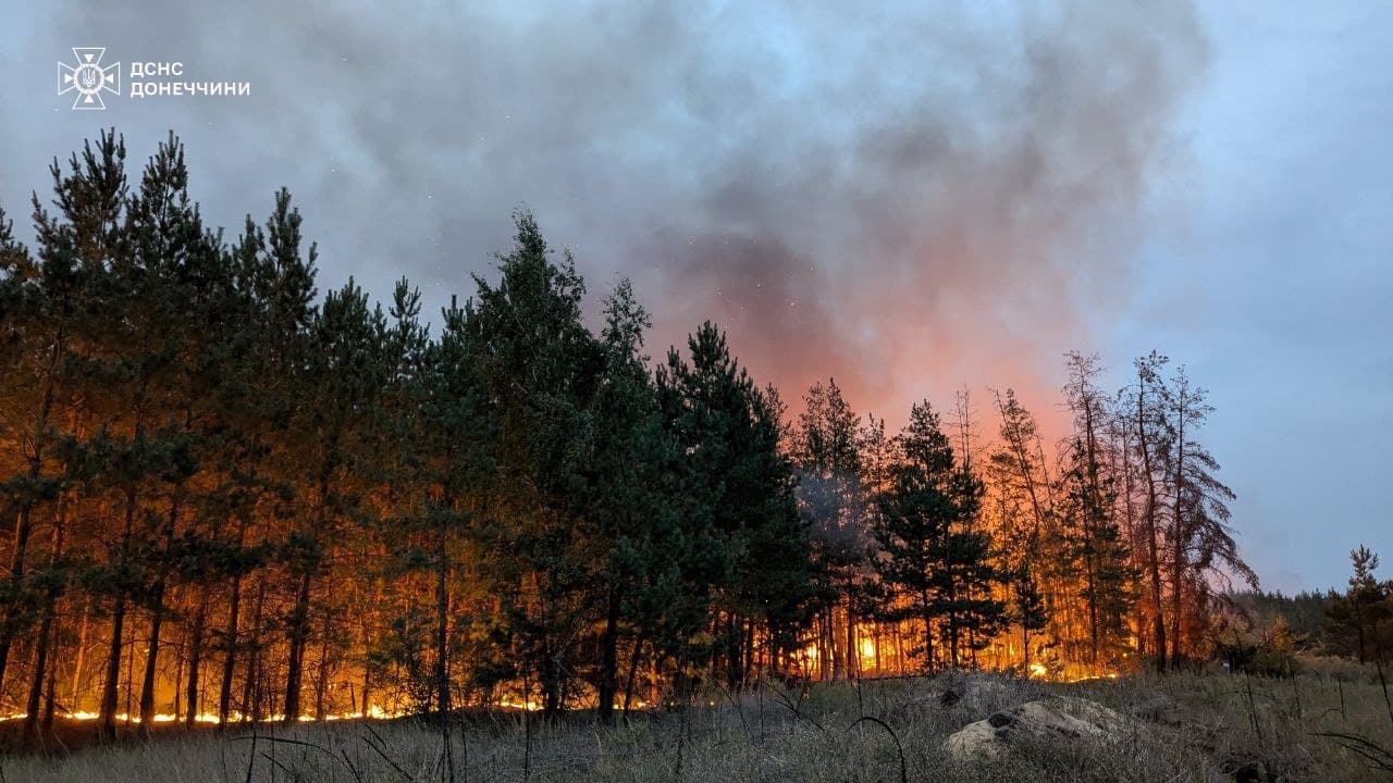 Масштабна лісова пожежа на Донеччині та Харківщині 3