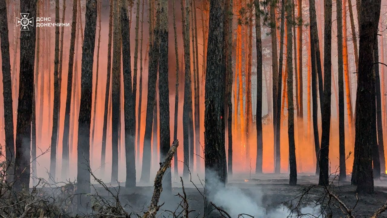 Горить ліс