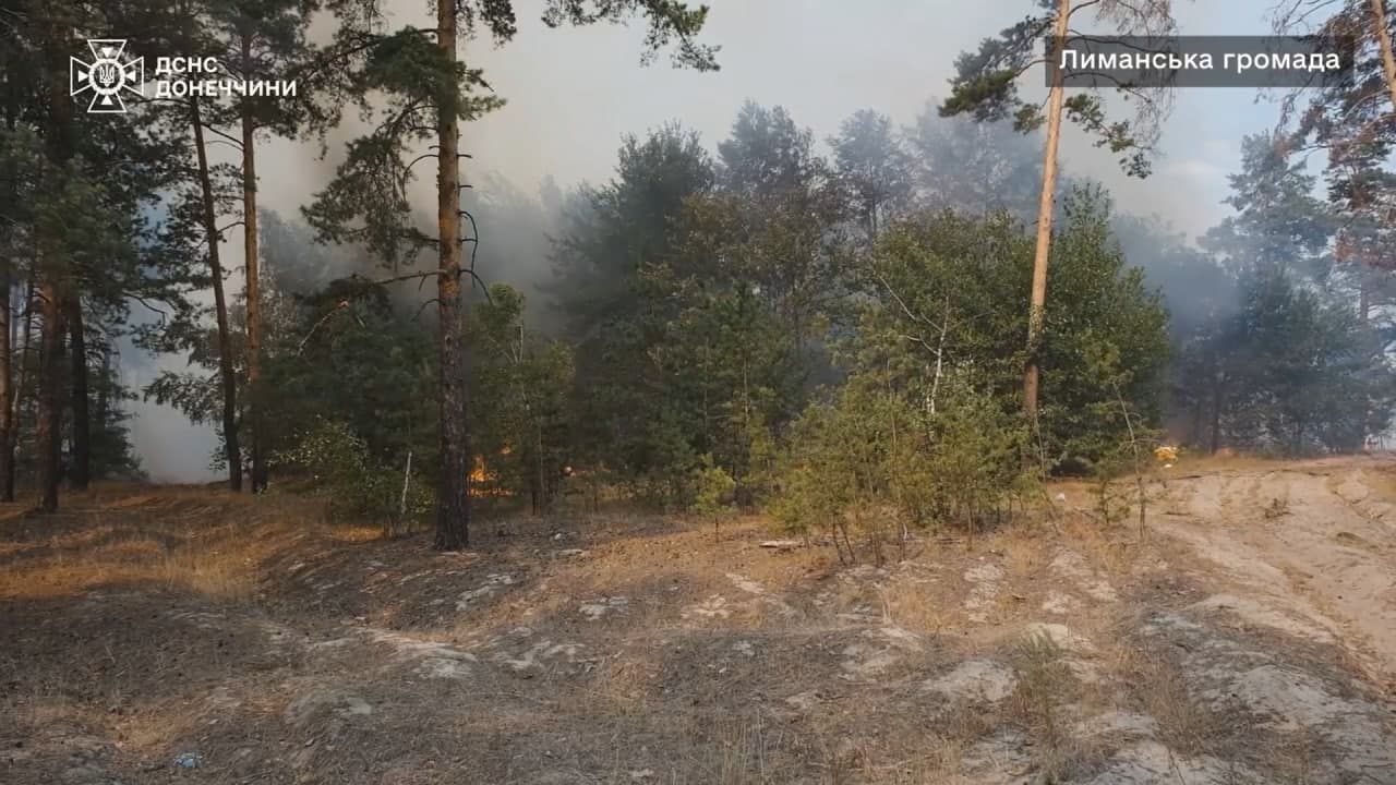 Пожежа у лісі на Лиманщині