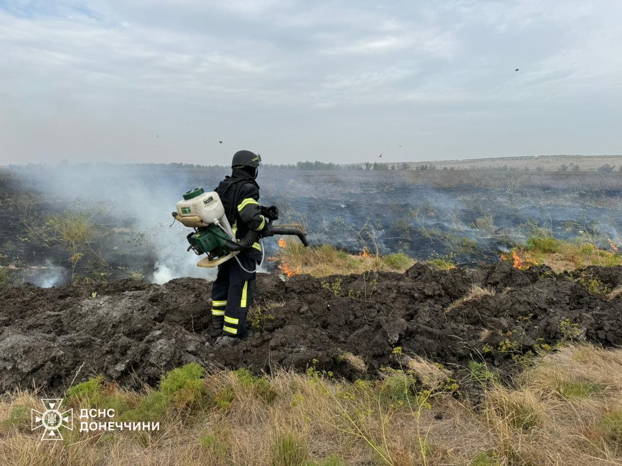 Пожежі на Донеччині