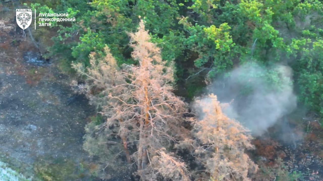 Робота по окупантам у Серебрянському лісі