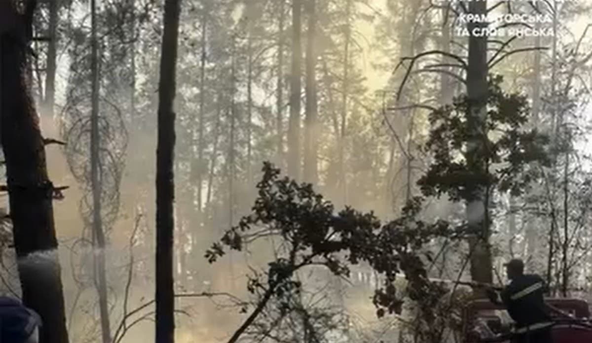 Поліцейські запобігли масштабній пожежі у Краматорському районі (відео)