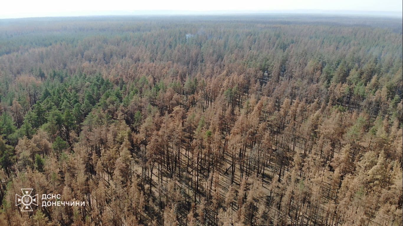 Рятувальники розповіли про масштаби ліквідованої лісової пожежу на території національного парку "Святі гори" (фото)