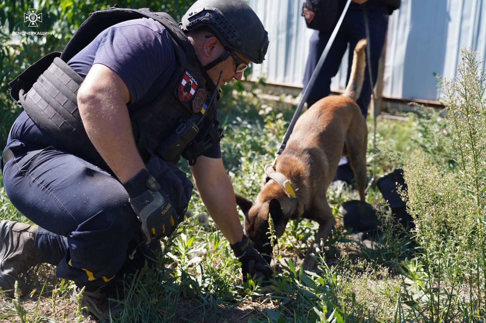 У розмінуванні територій на Донеччині допомагають собаки-детектори 8
